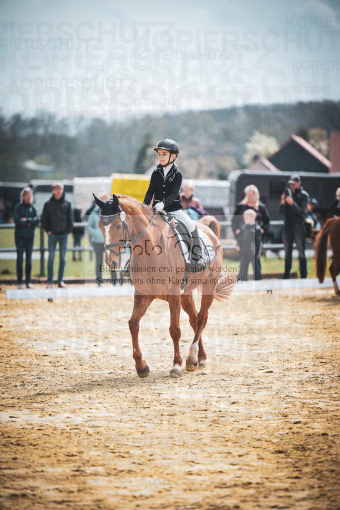 DOS_6181 | Entdecke hochwertige Reitturnierfotos von Foto Oger. Professionell, emotional und authentisch – jetzt Lieblingsmomente im Shop bestellen.Deutschlandweite Turnierfotografie. - Realisiert mit Pictrs.com