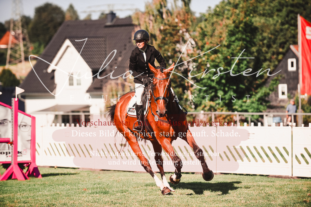 DSC_2241 | Pferde- und Turnierfotografie in Westsachsen. Pferdeportraits, Auftragszeichnungen und intuitive Kunst.