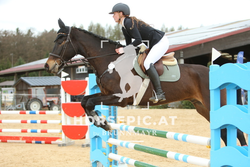 DL2Q2377 | Willkommen bei Brunnmayr - Design & Fotografie – Ihrem Spezialisten für Reitturniere und Pferdeveranstaltungen in Oberösterreich, Salzburg und Bayern! Seit über 17 Jahren sind wir leidenschaftlich dabei.