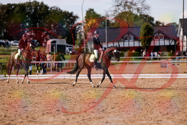2026_10_03_Siefer-Hof_132511_Z81_74499590 | Professionelle Reitsport-, Turnier- und Eventfotografie von Robert Broda. Galerien mit ausgewählten und bearbeiteten Bildern direkt online ansehen und bestellen.
