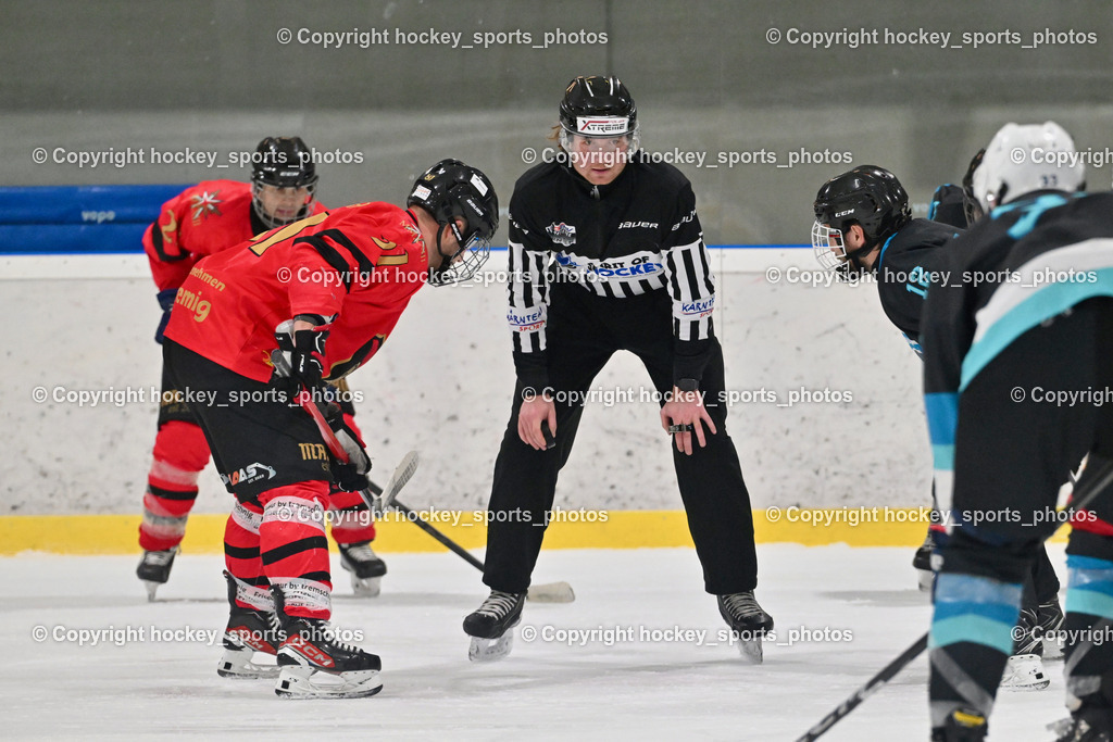 Lendhafen Seelöwen vs. Spartans Althofen | #81 Jakobitsch Silvio Spartans Althofen, Pirsch Christoph Referee, #12 Cijan Alexander Lendhafen Seelöwen, Lendhafen Seelöwen vs. Spartans Althofen, Lendhafen Seelöwen vs. Spartans Althofen am 14.02.2025 in Ferlach (HTC Eishalle Ferlach), Austria, (Photo by Bernd Stefan)