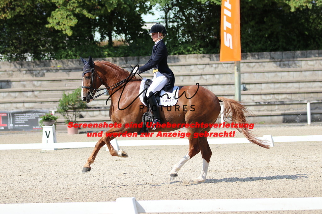 IMG_9356 | lmwpictures - Realisiert mit Pictrs.com