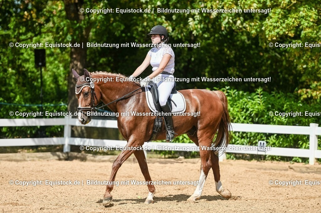 20230715_02_Dressurreiterprüfung Kl.L_0237 | equistock