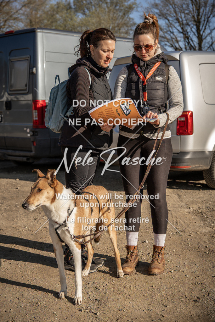 NR__0660-2 | nelerasche