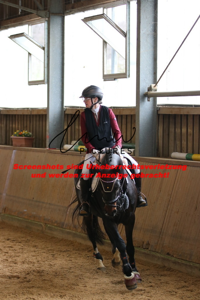 IMG_5350 | lmwpictures - Realisiert mit Pictrs.com