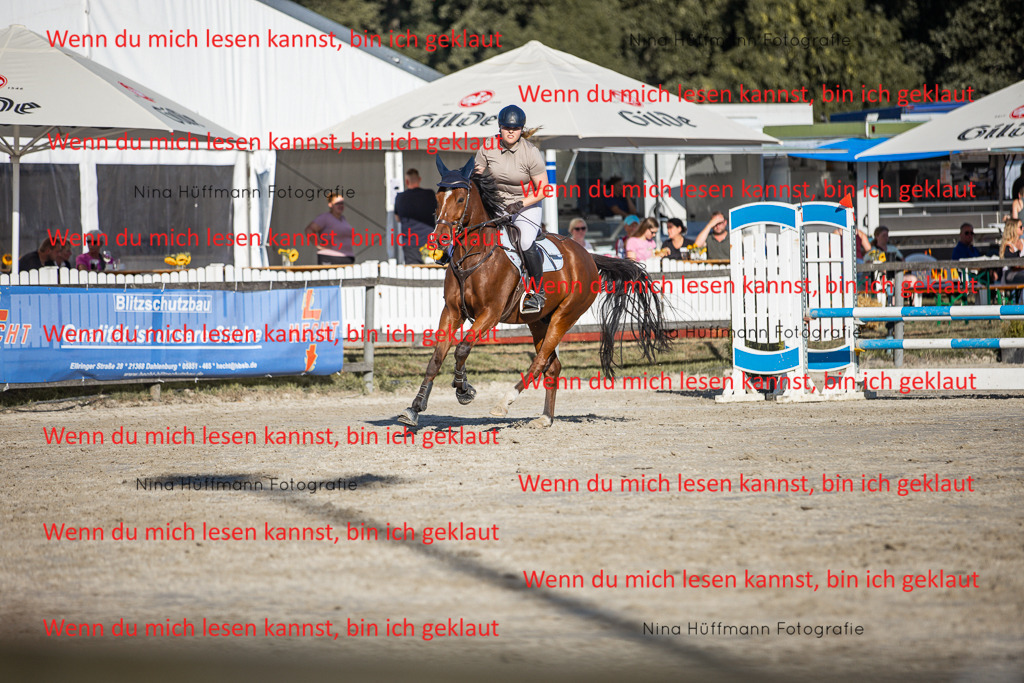 BK1A7711 | Turnierbilder Turnierfotos Nina Hüffmann Turnierfotografie Pferdefotografie Tierzeichnung Haustierzeichnung Pferdezeichnung Hundezeichnung Videograf  - Realisiert mit Pictrs.com