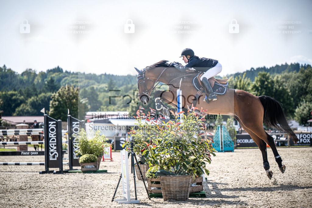 DOS_7467 | Entdecke hochwertige Reitturnierfotos von Foto Oger. Professionell, emotional und authentisch – jetzt Lieblingsmomente im Shop bestellen. - Realisiert mit Pictrs.com