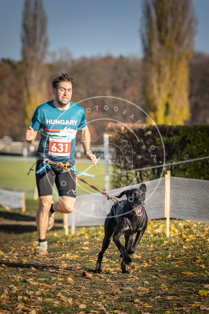 CaniXpix_DV3A0135 | Hundefotografie, Tierfotograf, Pfotenfotografie, Fotoshooting Hund, Hunde Portrait, Hundesport, Hundeportraits, Heideshooting, Hunde, Sportfotograf, Hundefotograf, Turnierhundsport, THS,  - Realisiert mit Pictrs.com