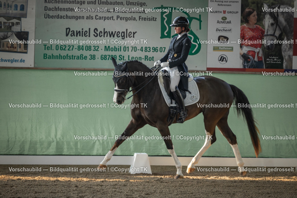 _D5A7838 | Emotionale Pferde- & People-Fotografie rund um Heidelberg, Leimen & Umgebung. Natürliche Fotos von Pferd, Mensch & Familie. Jetzt Termin sichern!