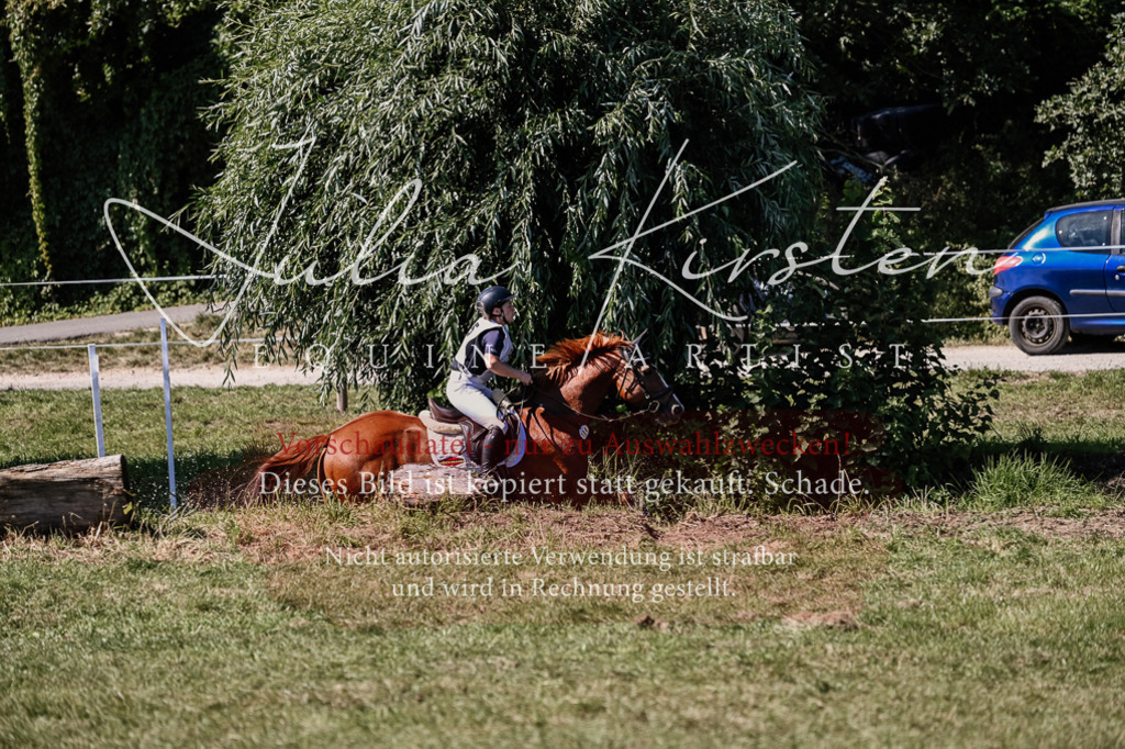 DSC_1905 | Pferde- und Turnierfotografie in Westsachsen. Pferdeportraits, Auftragszeichnungen und intuitive Kunst.