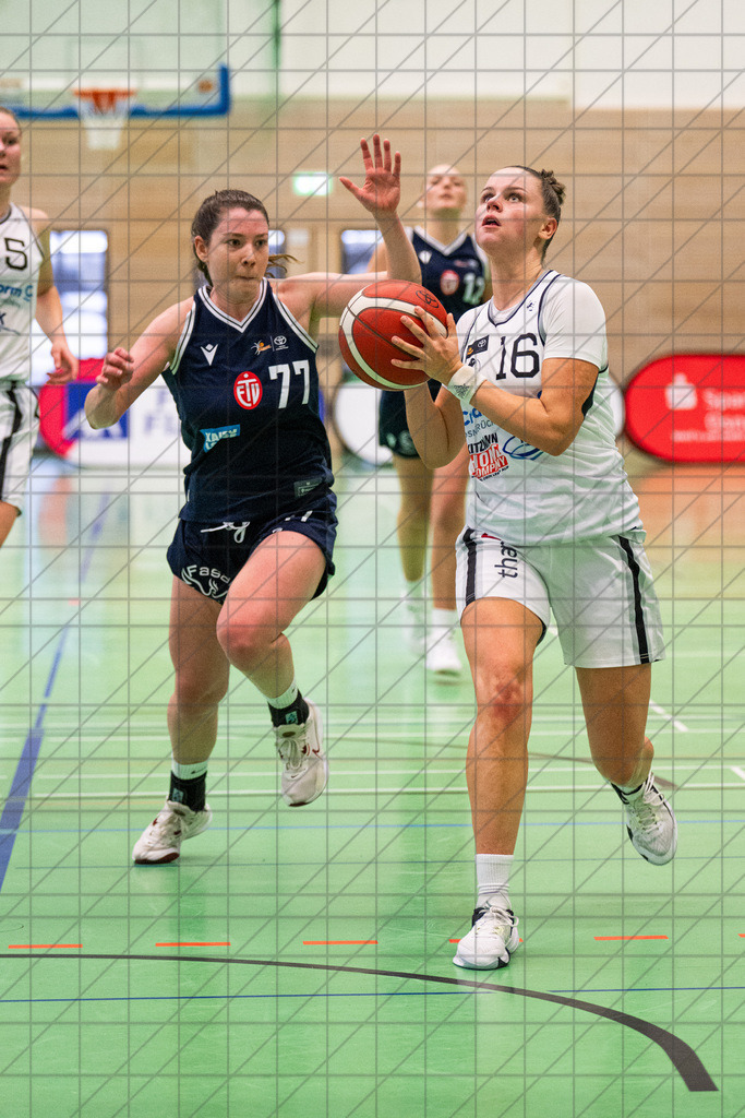 2. DBBL Nord 24/25 | 20.10.2024 | BBC OS vs. Eimsbütteler TV | 2. DBBL Nord 24/25 | 20.10.2024 | BBC OS vs. Eimsbütteler TV - - - - - CREDIT, www.bullenfotos.de, Martin König, Hörner Weg 40, D-49078 Osnabrück, +4917663732967, Nutzung und Weitergabe nur zu den vereinbarten Zwecken. Presseanfragen an Urheber. Alle Rechte beim Urheber. - - - - - - Realisiert mit Pictrs.com