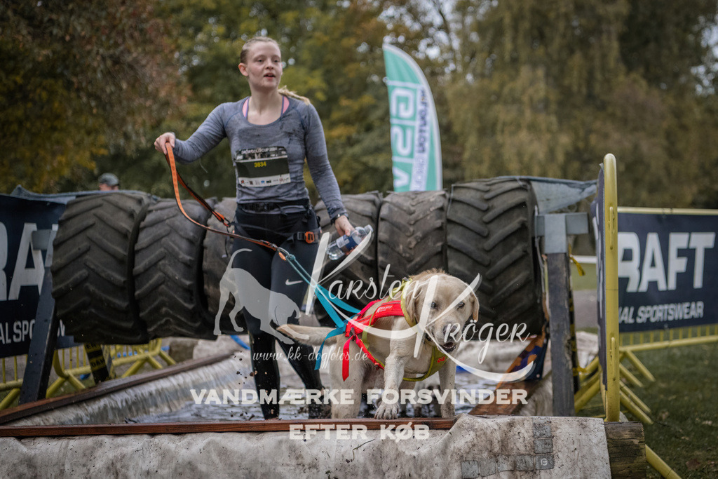 1704_ZZ94806 | kk-dogfotos