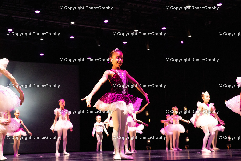 GPHY4440 | DanceGraphy - Realisiert mit Pictrs.com