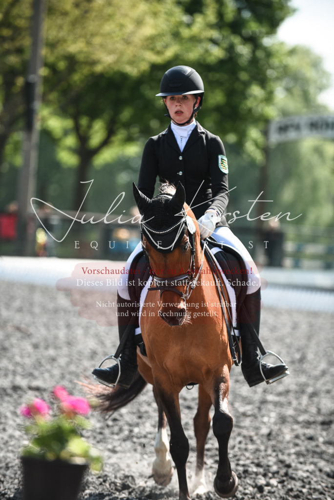 DSC_8991 | Pferde- und Turnierfotografie in Westsachsen. Pferdeportraits, Auftragszeichnungen und intuitive Kunst.