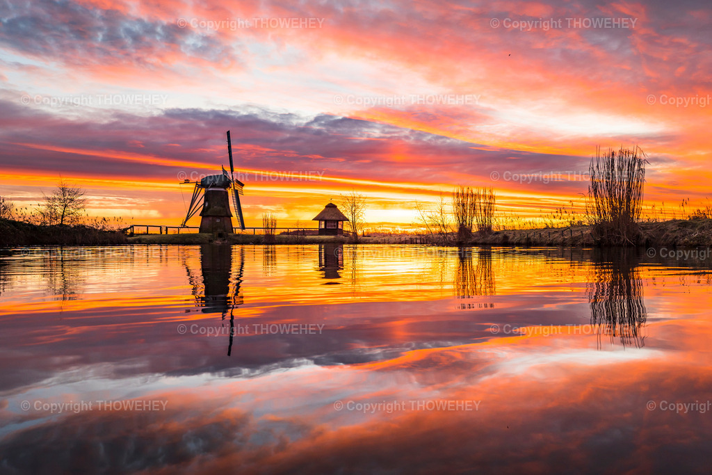 _1024379 | thowehey - Realisiert mit Pictrs.com