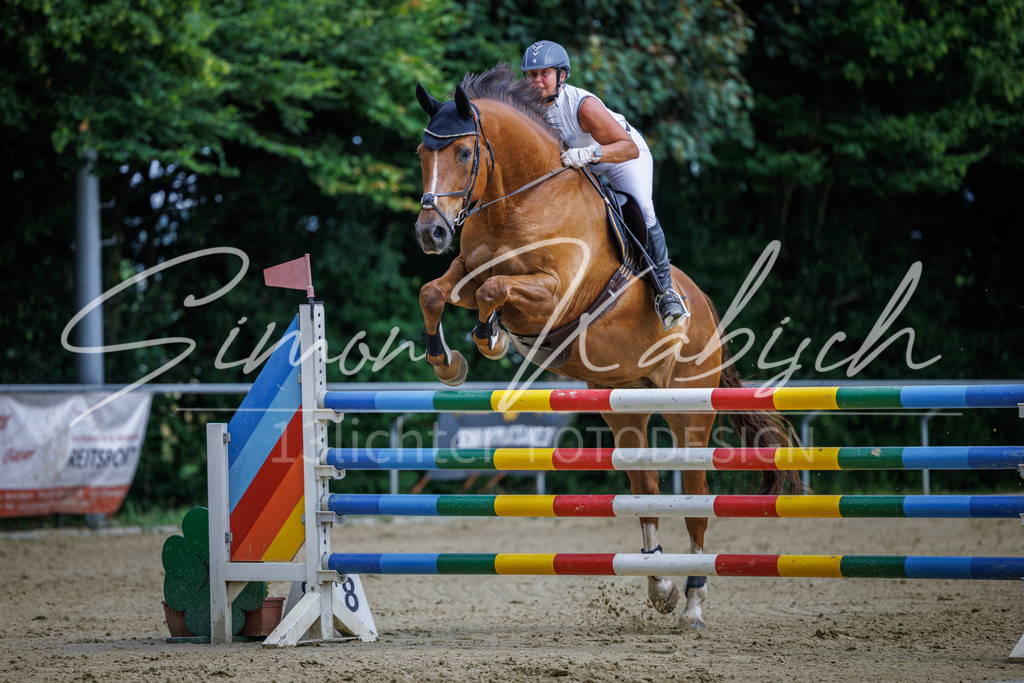 20260705-_3LI6665 | Tierfotografie Pferde, Hunde, Katzen, Haustiere.
Turnierfotografie Reitturniere, Reiten, Springreiten, Dressur in Hanau, dem Main-Kinzig-Kreis und dem Rhein-Main- Gebiet um Frankfurt