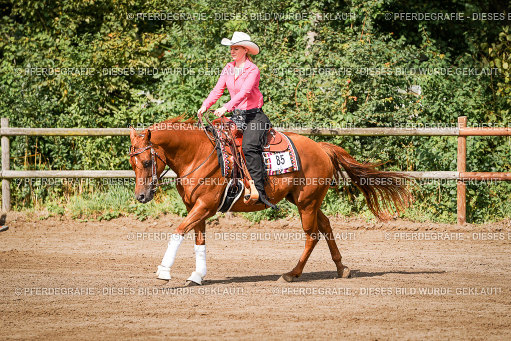 DSC09375 | Pferdegrafie