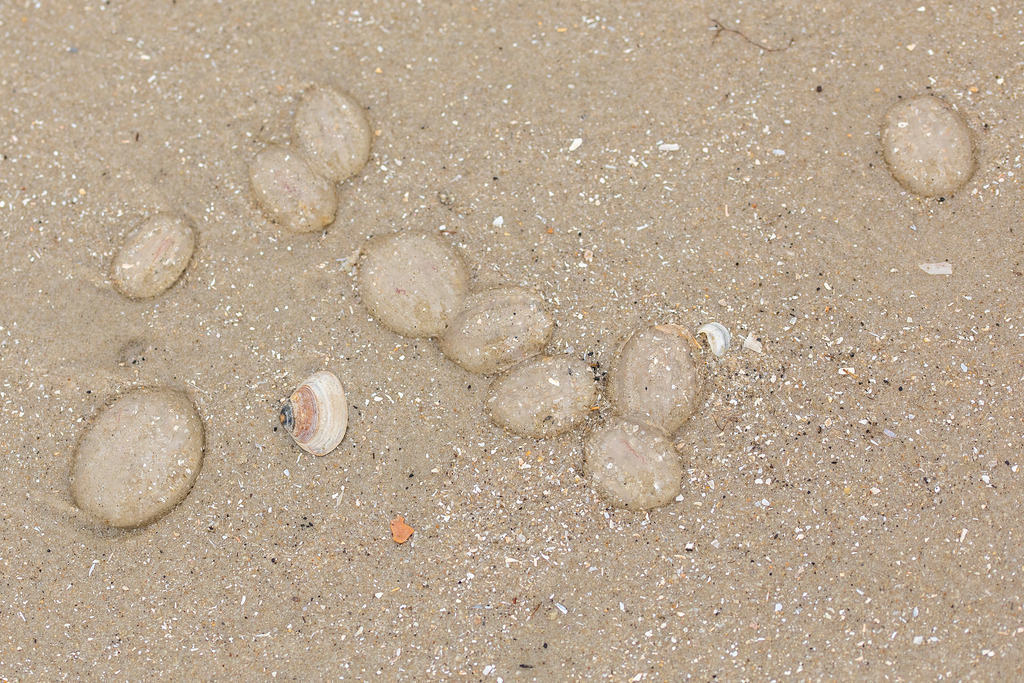 3A0A9858 | codoma - Realisiert mit Pictrs.com