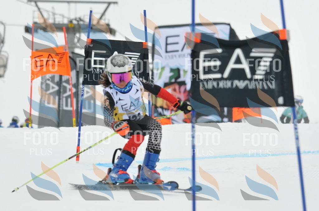 DSC_8229 | holidayphoto