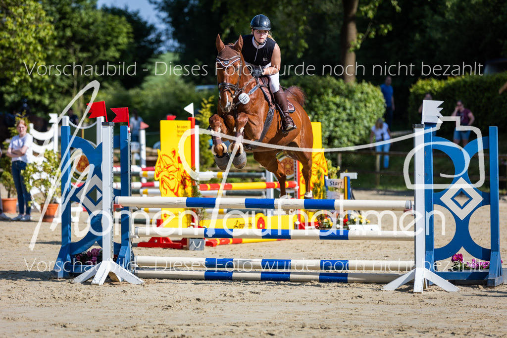 Donop24-ASpr-015 | MomenTaufnahmen Pferdesportfotos