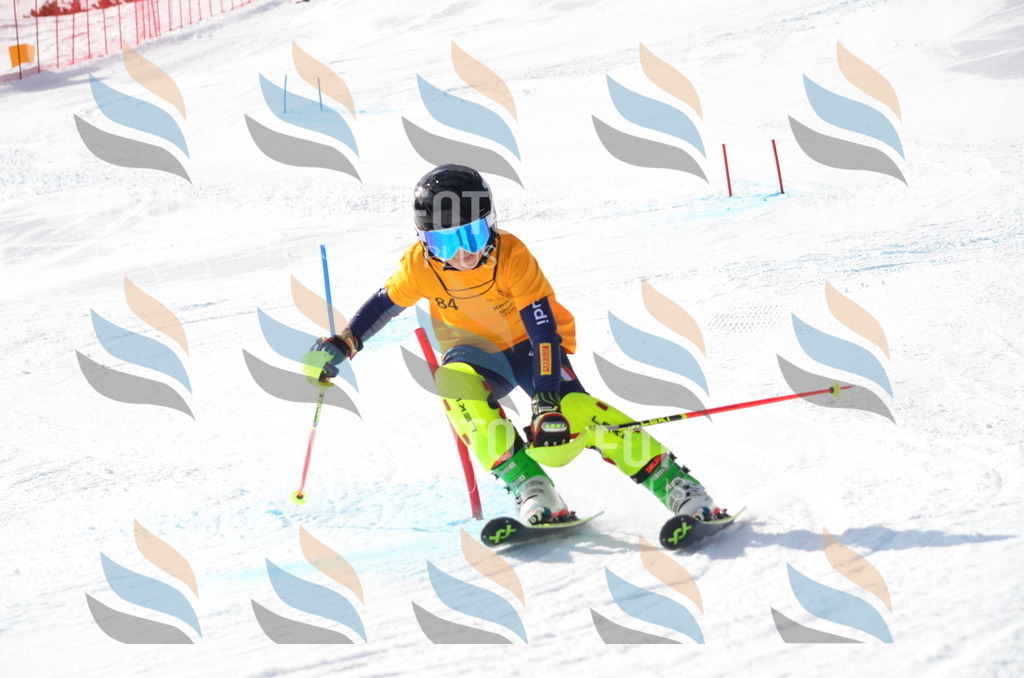 C8018 | holidayphoto