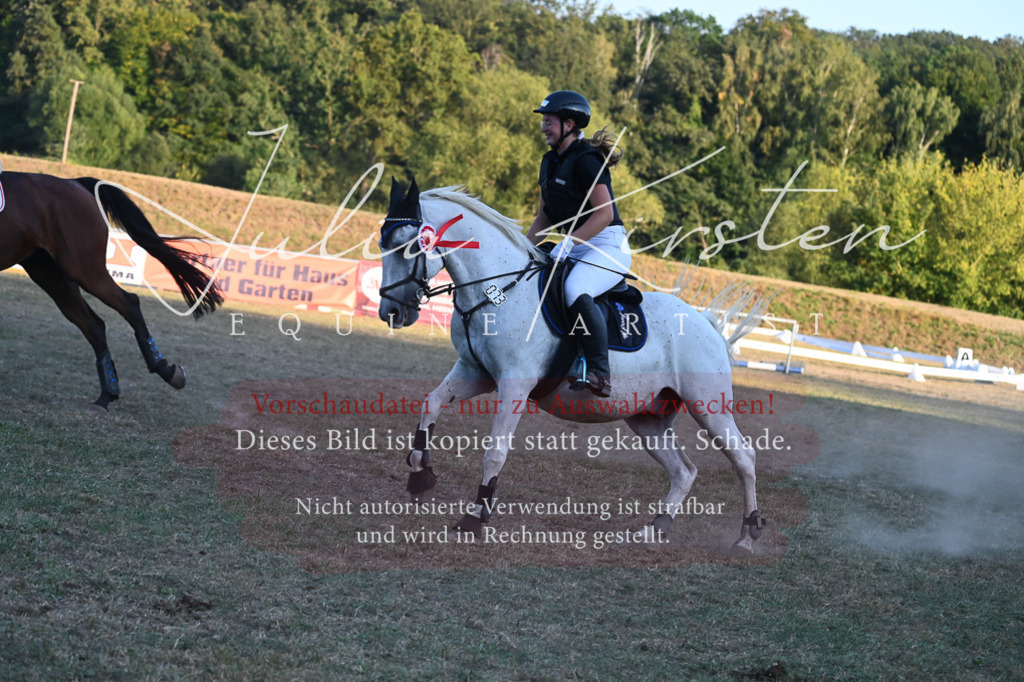 DSC_9301 | Pferde- und Turnierfotografie in Westsachsen. Pferdeportraits, Auftragszeichnungen und intuitive Kunst.