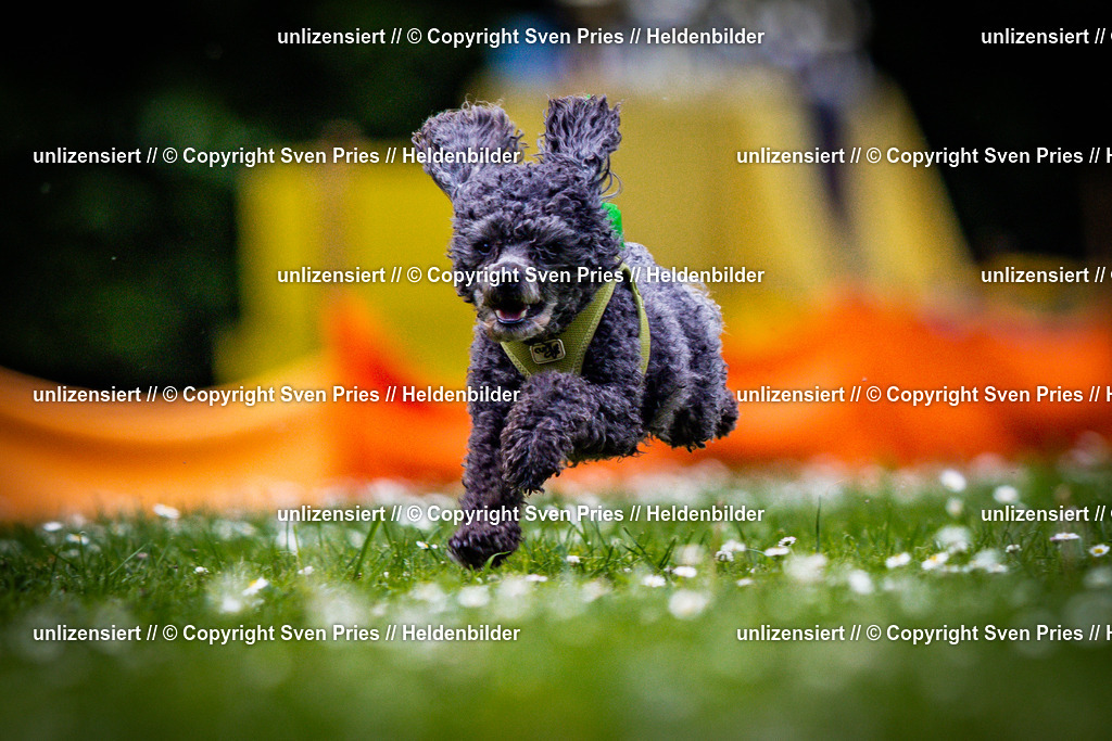 Sven Pries | 2025-05-29 - Pudelrennen KA-Durlach - Realisiert mit Pictrs.com