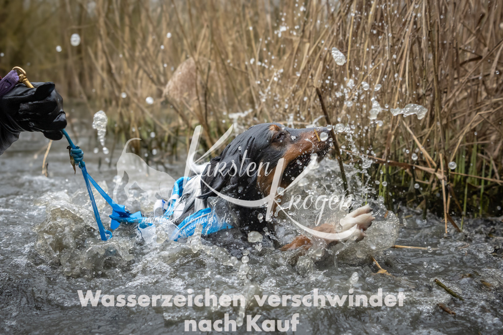 0836_ZZ91805 | kk-dogfotos