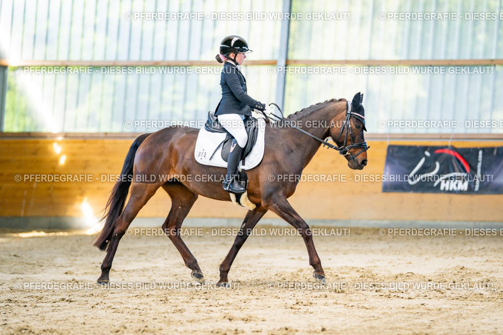 DSC06293 | Pferdegrafie