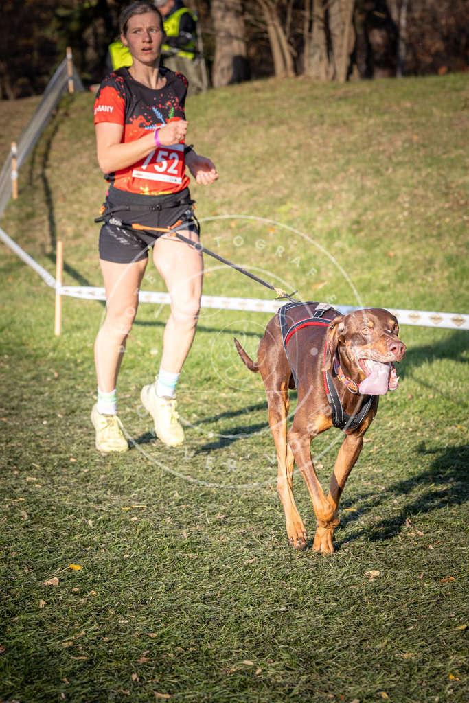 CaniXpix_0L8A9911 | Hundefotografie, Tierfotograf, Pfotenfotografie, Fotoshooting Hund, Hunde Portrait, Hundesport, Hundeportraits, Heideshooting, Hunde, Sportfotograf, Hundefotograf, Turnierhundsport, THS,  - Realisiert mit Pictrs.com