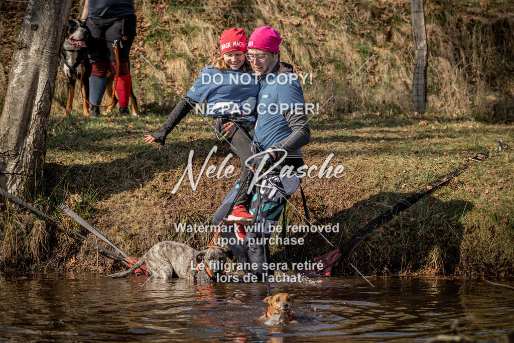 nelerasche_FS1330-1400_31 | nelerasche