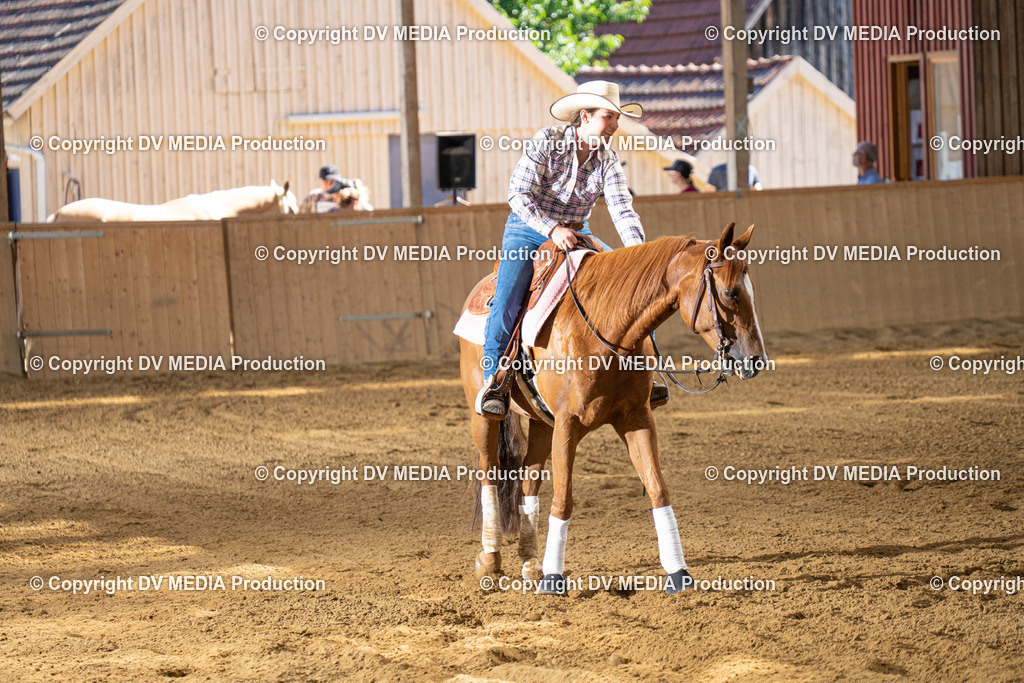 DSC00127 | dv-media-shop - Realisiert mit Pictrs.com