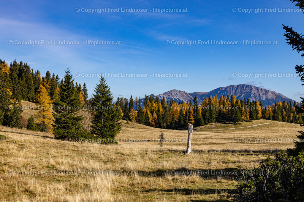 Kastenriegel Graualm Rundtour ueber Rosshoelle Bschlagstatt_Hohe Weichsel Hochschwabgebiet 27102021-0785 | Fotos und Fotoprodukte - Realisiert mit Pictrs.com