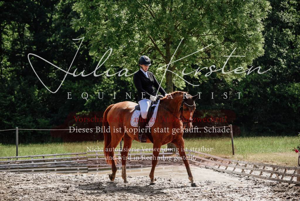 DSC_0296 | Pferde- und Turnierfotografie in Westsachsen. Pferdeportraits, Auftragszeichnungen und intuitive Kunst.