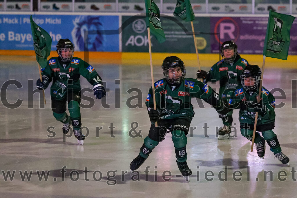 2026-01-18_018_TSV_Erding_gegen_Selber_Woelfe | Erding, Deutschland, 18.01.2026:Eishockey, Oberliga Süd 2025 / 2026, 38. Spieltag, TSV Erding gegen Selber Wölfe, Endergebnis: 2:3 n.V.Foto: Christian Riedel / fotografie-riedel.net