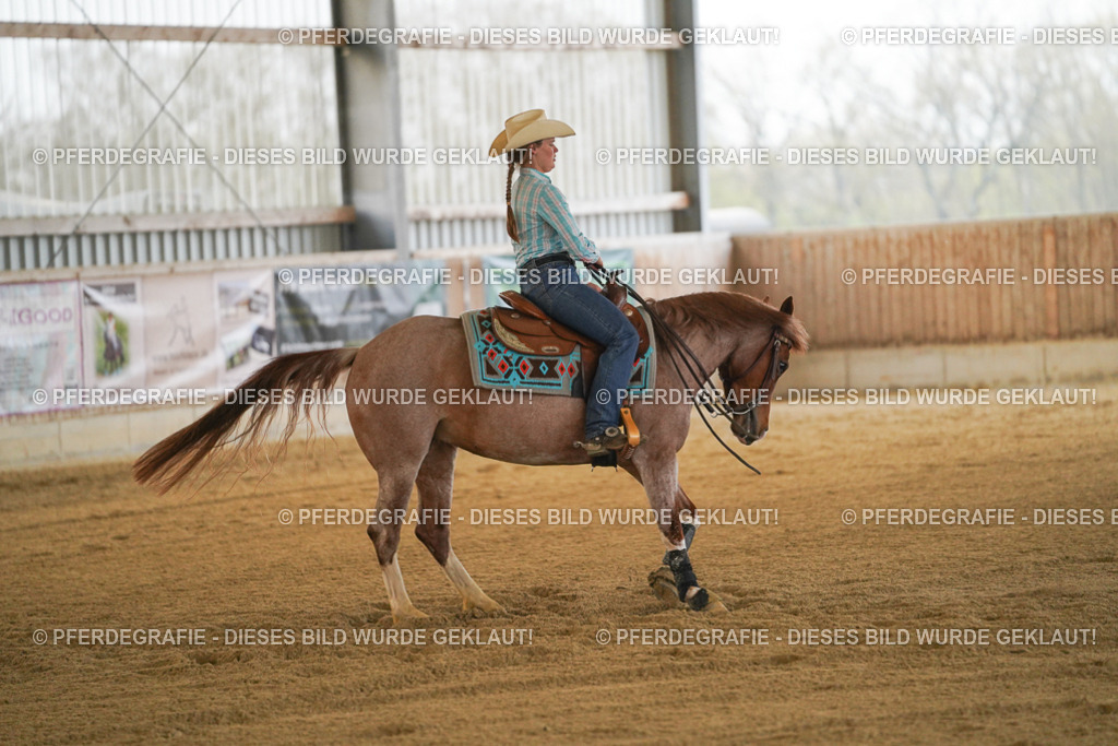 DSC08624 | Pferdegrafie