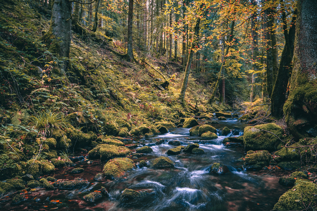 Am Ellbach | Der malerische Ellbach bei Baiersbronn im Nordschwarzwald - Realisiert mit Pictrs.com