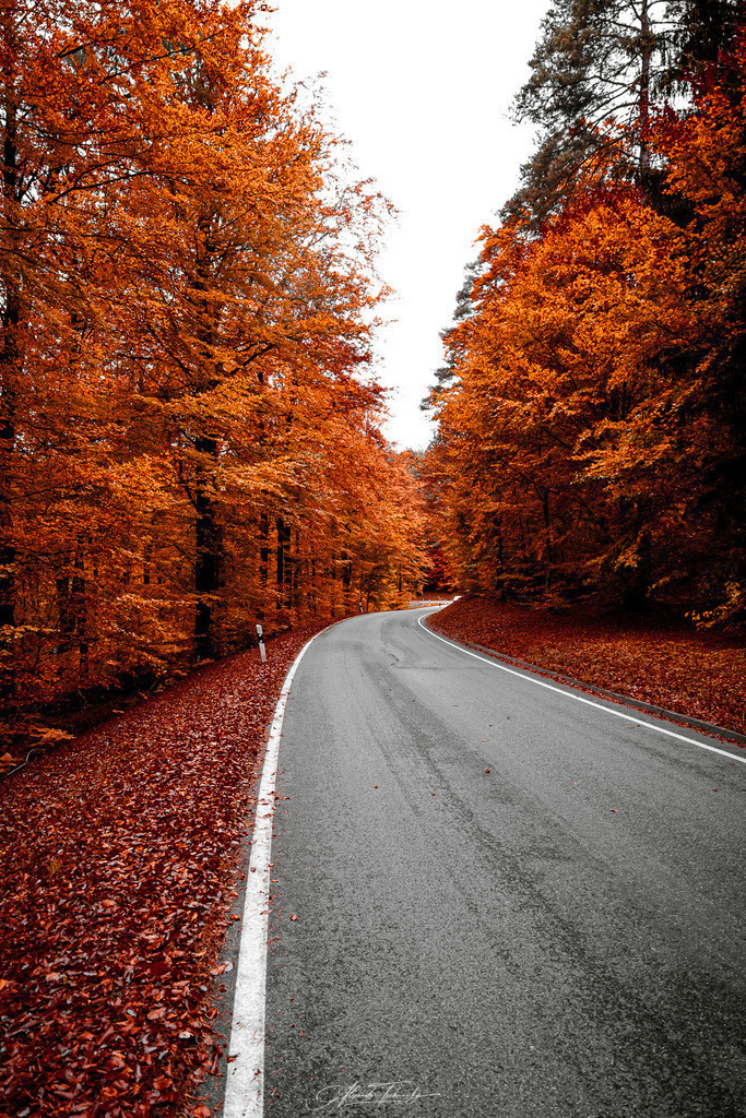 Spessart | Entdecken Sie die faszinierende Welt von Alexander Tschuncky Arts: Kreative Fotografie, atemberaubende Automobilkunst und hochwertiger Bilderdruck. Lassen Sie sich inspirieren! - Realisiert mit Pictrs.com