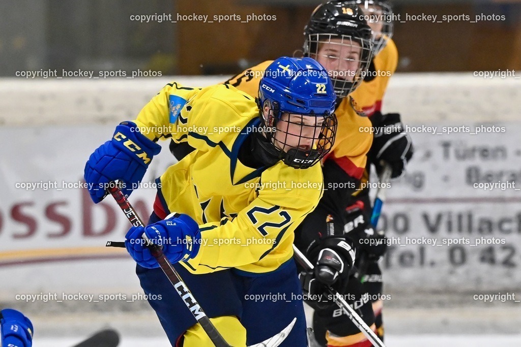 BST_4797 | hockey sports photos, Pressefotos, Sportfotos, hockey247, win 2day icehockeyleague, Handball Austria, Floorball Austria, ÖVV, Kärntner Eishockeyverband, KEHV, KFV, Kärntner Fussballverband, Österreichischer Volleyballverband, Alps Hockey League, ÖFB, 