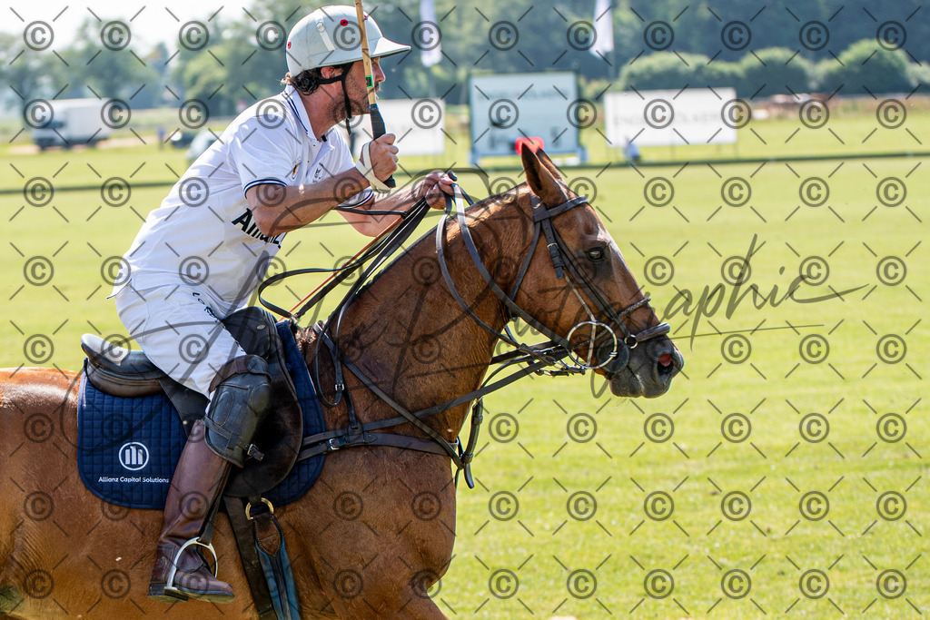 POL_3395 | andre_photographic