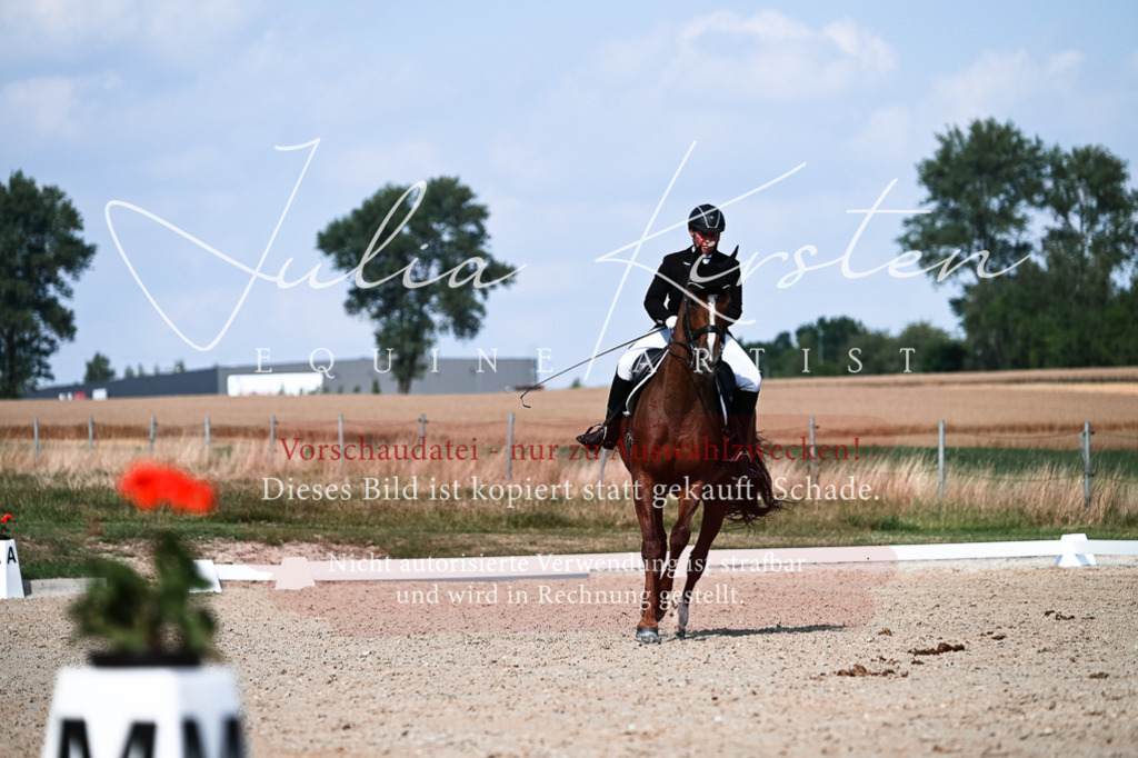 DSC_3269 | Pferde- und Turnierfotografie in Westsachsen. Pferdeportraits, Auftragszeichnungen und intuitive Kunst.