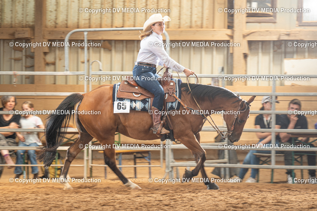 NID01698 | dv-media-shop - Realisiert mit Pictrs.com