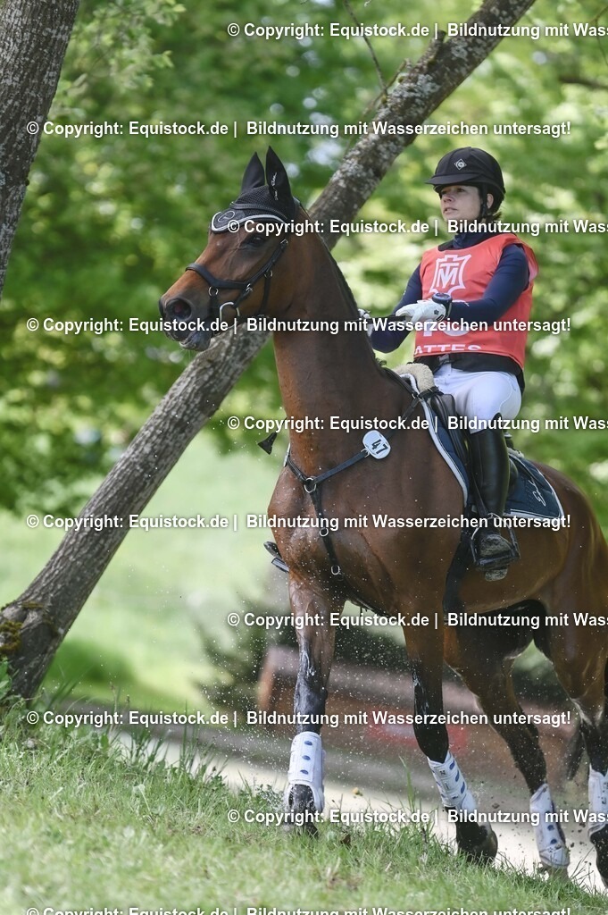 20250517_CCI2_Gelände_1092 | Foto: Thomas Hartig