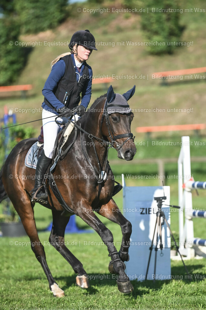 20230908_14-15_Springpferde-A_0053 | equistock