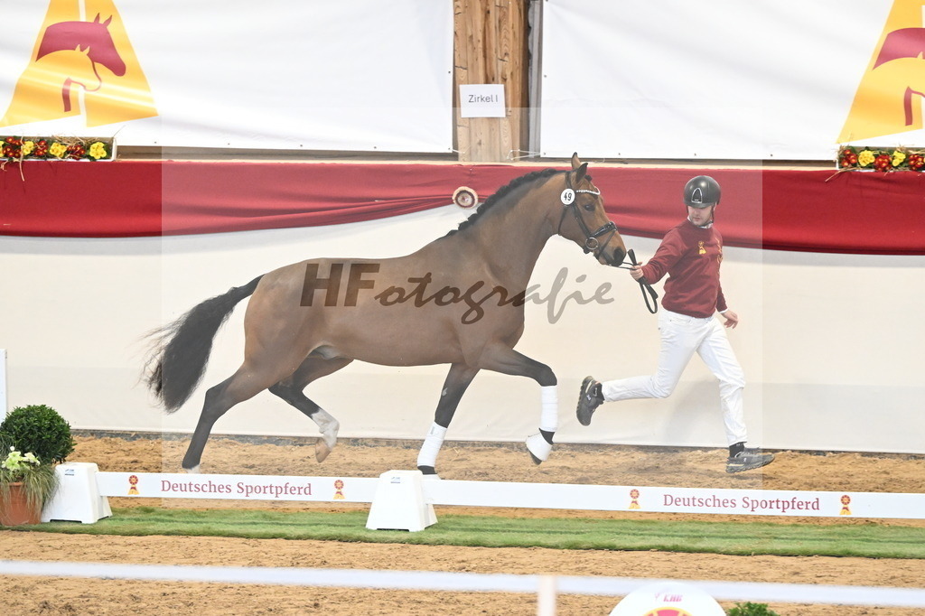 Kat.-Nr. 49 v. Fabletic_Bernadotte_ Voigtländer und Dimer_3260451 | hf-fotografie - Realisiert mit Pictrs.com