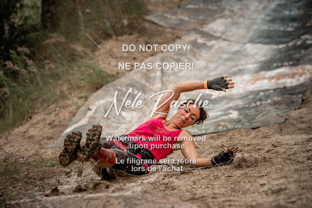 nelerasche_sa0800-1000_365 | nelerasche