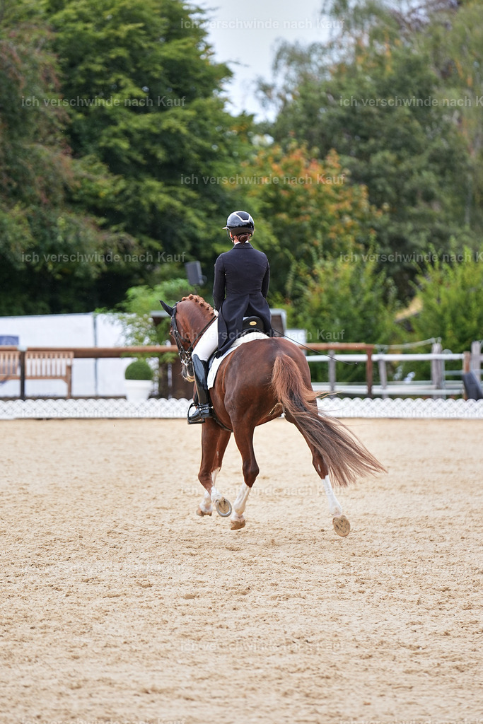 11-201-Dressur S___-Marixx-1769 | working equitationturnier fotograf videograf stoibphotography marixx film working equitation deutschland reitsport turnierfotografie eventfotografie equestrian events