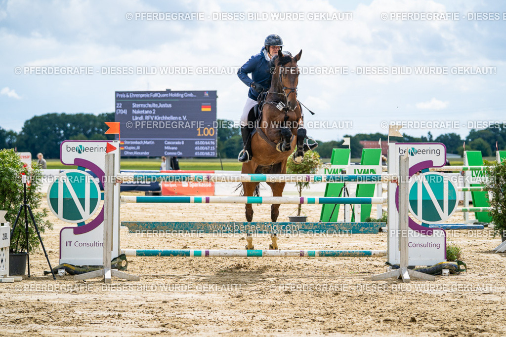 DSC05850 | Pferdegrafie