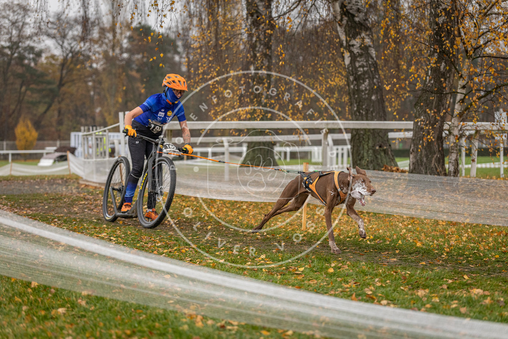 CaniXpix_DV3A8358 | Hundefotografie, Tierfotograf, Pfotenfotografie, Fotoshooting Hund, Hunde Portrait, Hundesport, Hundeportraits, Heideshooting, Hunde, Sportfotograf, Hundefotograf, Turnierhundsport, THS,  - Realisiert mit Pictrs.com