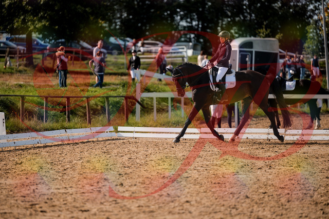 2026_10_03_Siefer-Hof_133442_Z63_93223546 | Professionelle Reitsport-, Turnier- und Eventfotografie von Robert Broda. Galerien mit ausgewählten und bearbeiteten Bildern direkt online ansehen und bestellen.